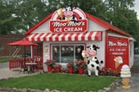 Moo Moo'S Ice Cream 