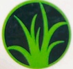Evergreen Lawn Care Spokane