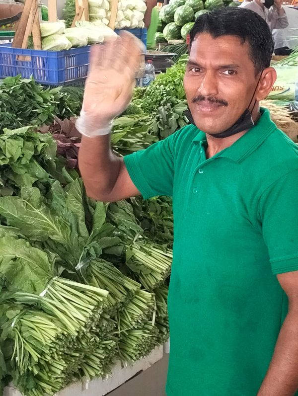 Fresh organic herbs
