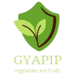 GYAPIP Vegetables and Fruits Store