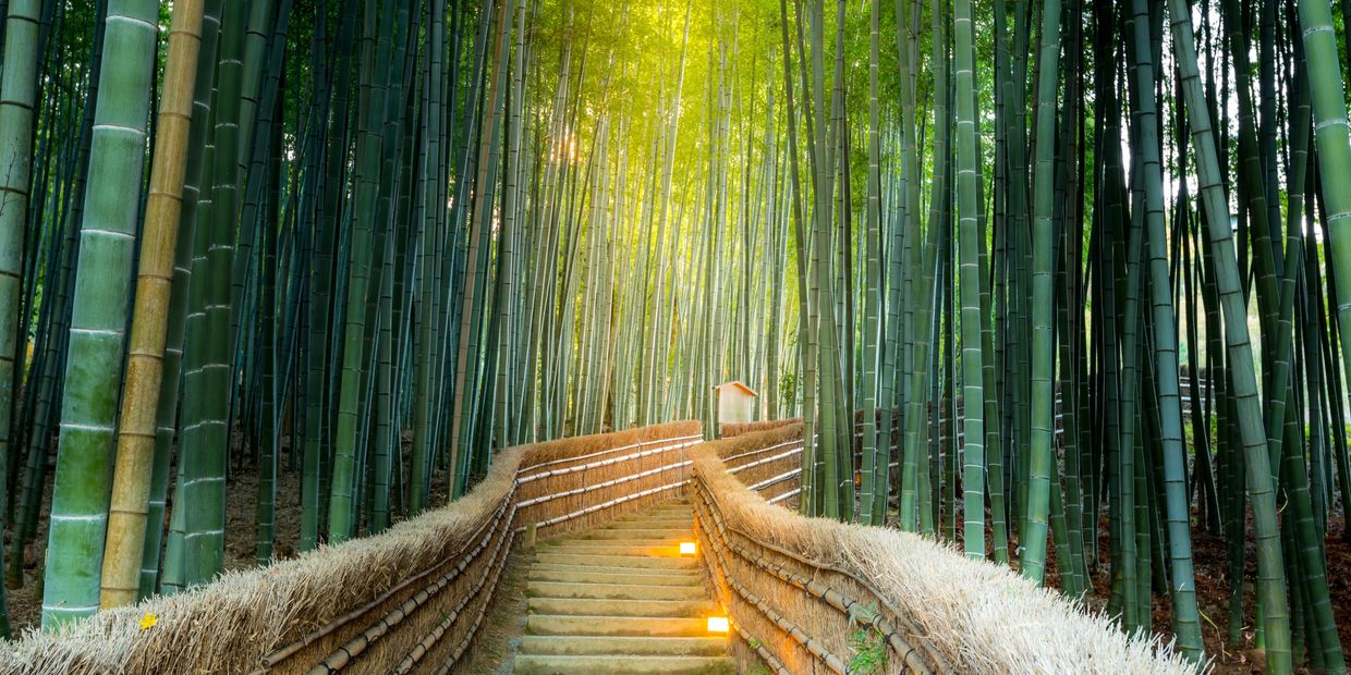 Let Tranquility lead you down a traditional and therapeutic wellness path.