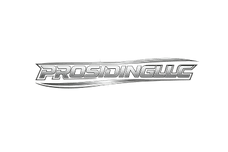Prosiding LLC