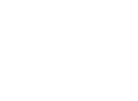 Warbler Collection Exuma