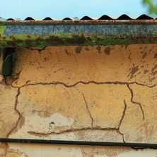 Termite damage to house