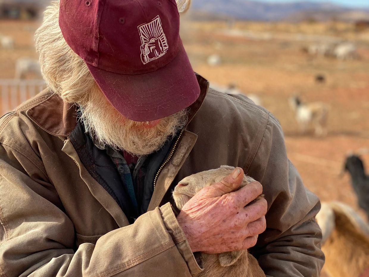 Man gently holding a sheep's head outdoors.