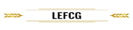 Litigation Economic & Forensic Consulting Group LLC