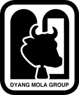 DYANG MOLA GROUP LTD
