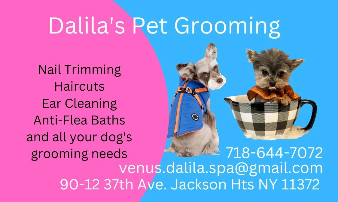 Dog Grooming in Queens Ny Dalila's Pet Grooming
