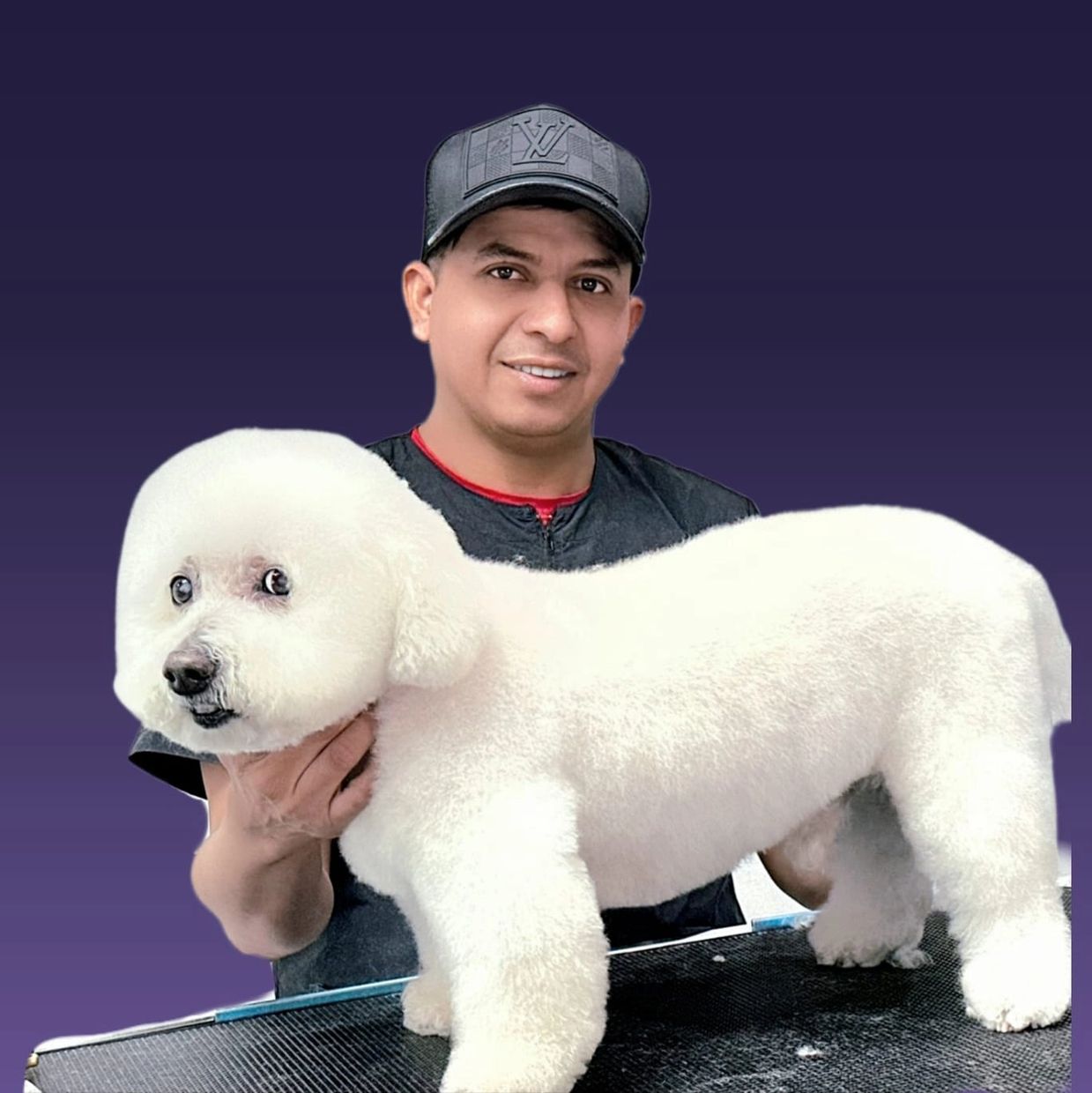 Adonis Pet Grooming