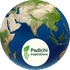 Padichi Inspirations