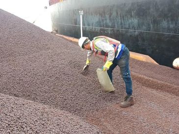 Worker inspecting coal-like material on a ship.