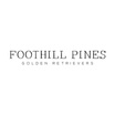 Foothill Pines Golden Retrievers
