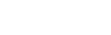 Traveler Finance Coach