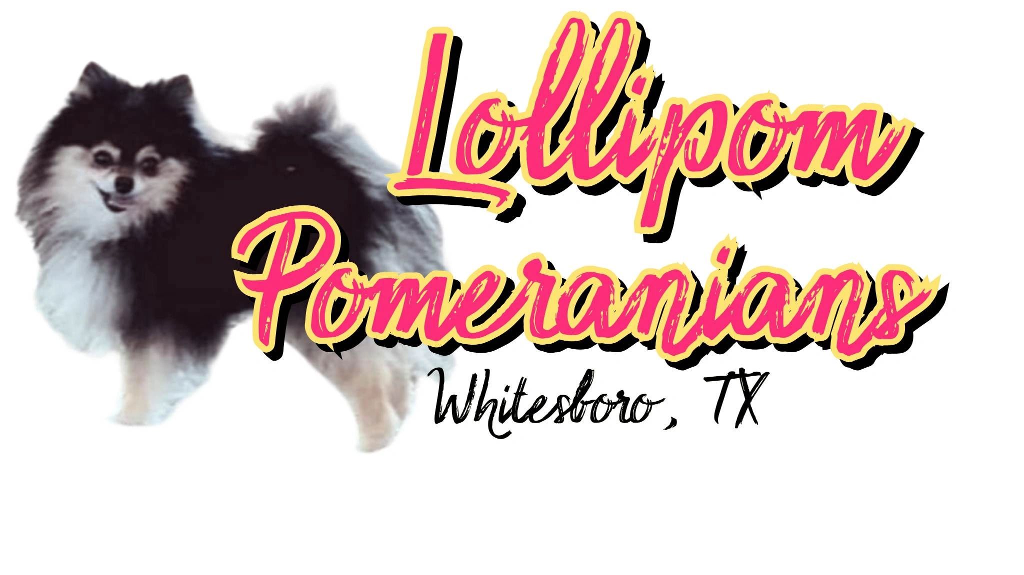 About lolli poms
