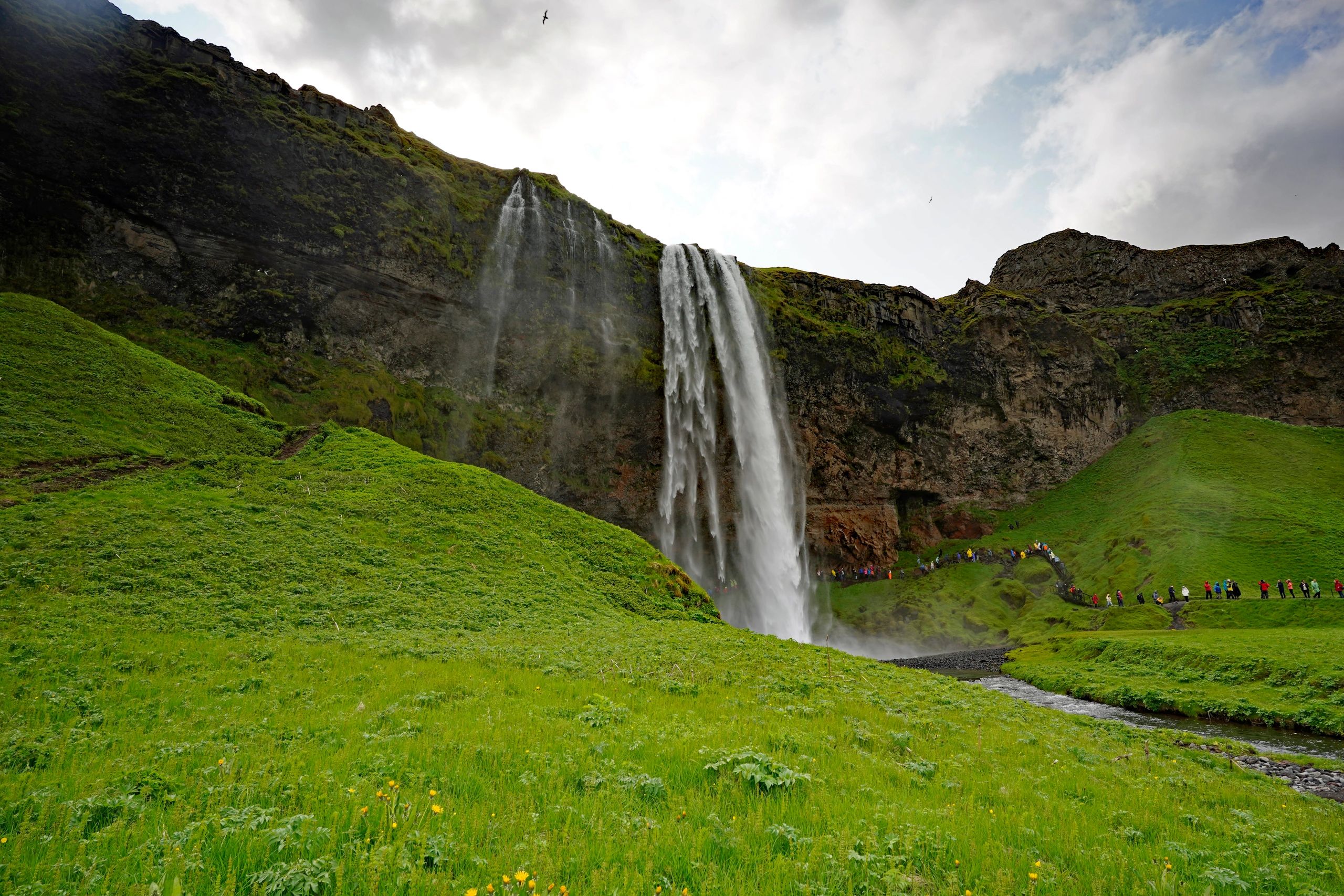 Image of the Seljalandsfoss waterfall in southern Iceland.  Taken as a long exposure to show movemen