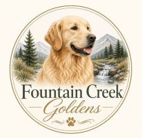 Fountain Creek Goldens