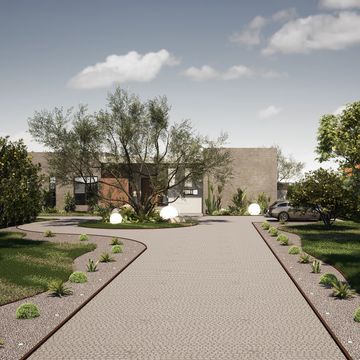Modern house with a curved driveway and lush garden trees.
