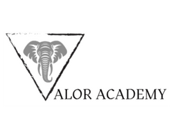 Valor Academy Gym