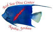 Red Sea Dive Center