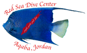 Red Sea Dive Center