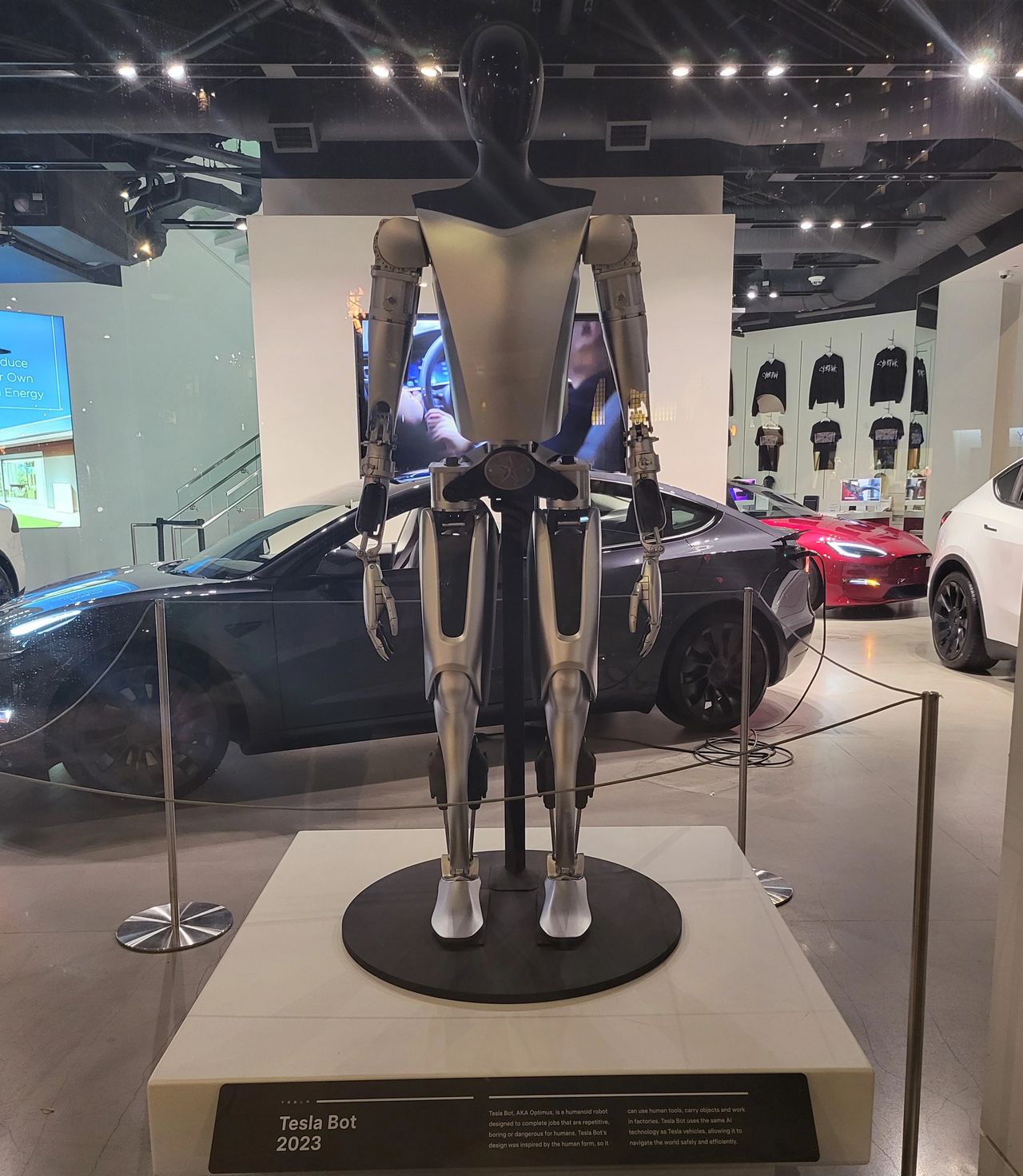 Image of an Optimus on display in Hawaii 2023 Image of an Optimus on display in Hawaii 2023