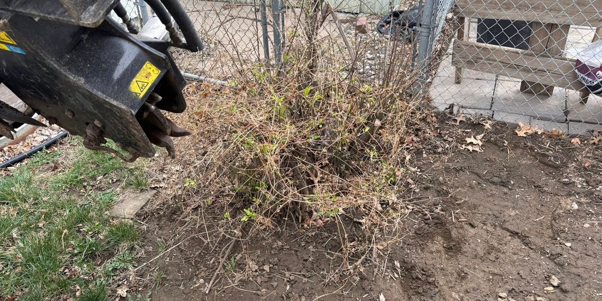 Excavator attachment near a dry bush in a backyard.