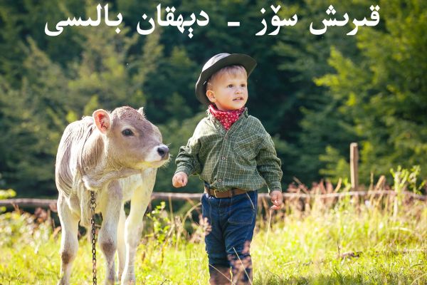 A boy and a calf in a meadow.