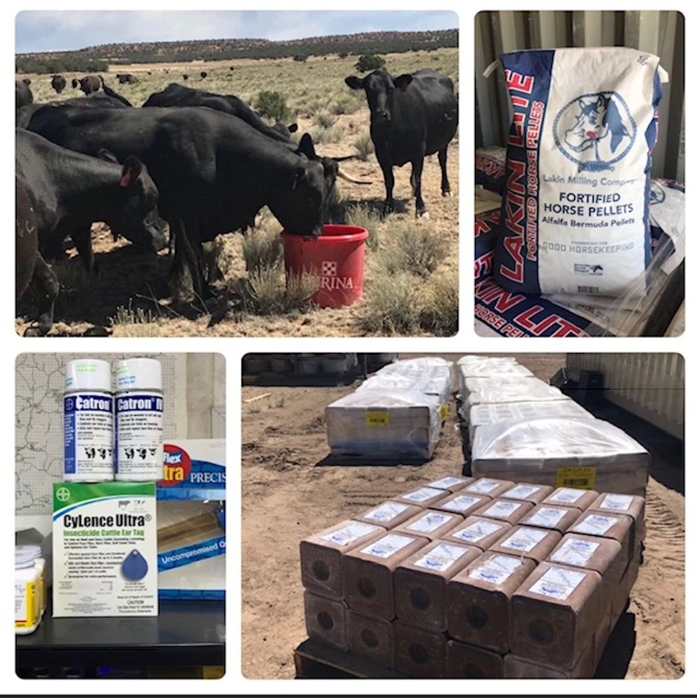 Lakin pellets, Purina, Salt blocks, Cattle Master Gold, Vaccine, Zoetis, Ivermax Pour-On, Goat feed