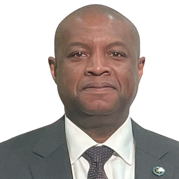 Personal Protection and Investigative Specialist