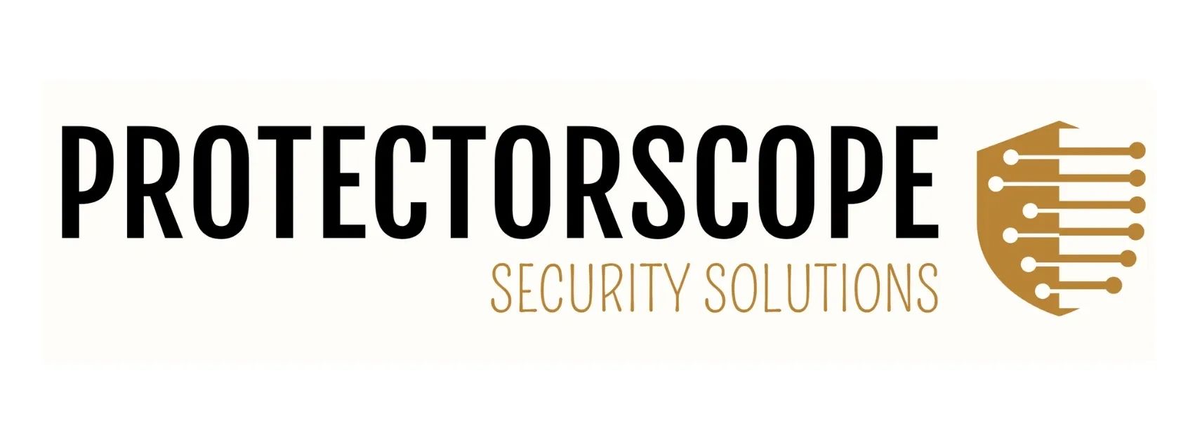 Security Consultant; Executive Protection; Security Agency; Local Guide Program; secretservice.com