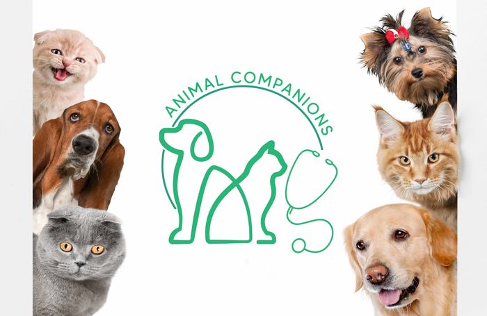 website cover image