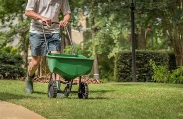 Lawn Fertilization and Grass Overseeding