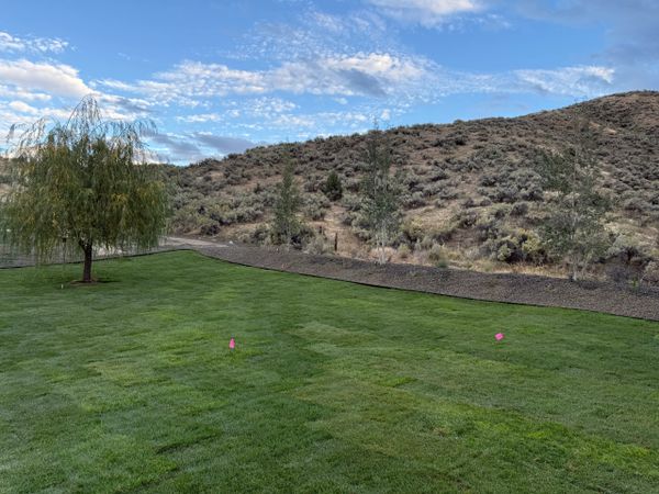 Lush green lawn with a tree and dry hills in the background under a partly cloudy sky.