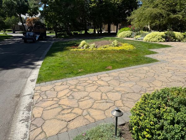 A sunny suburban garden with stone pathway and well-maintained greenery.