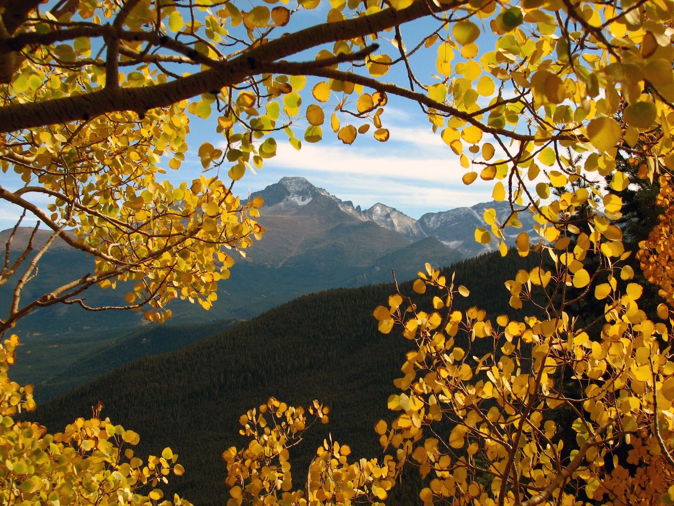 Golden autumn leaves frame a mountain range under a blue sky.