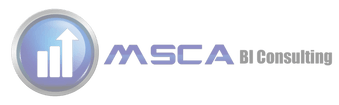 MSCA BI CONSULTING INC.