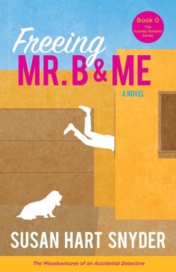 Book cover for Freeing Mr. B &amp; Me by Susan Hart Snyder.