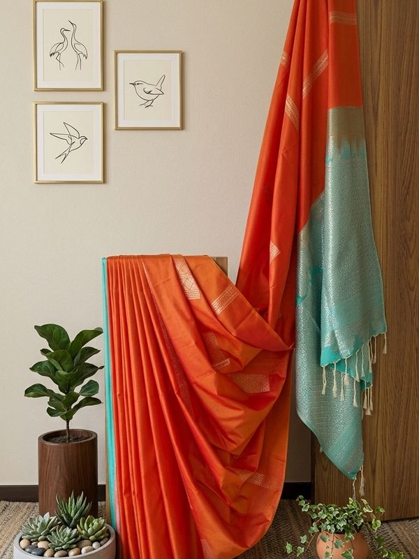 Elegant orange and teal saree displayed with potted plants and bird sketches on the wall.