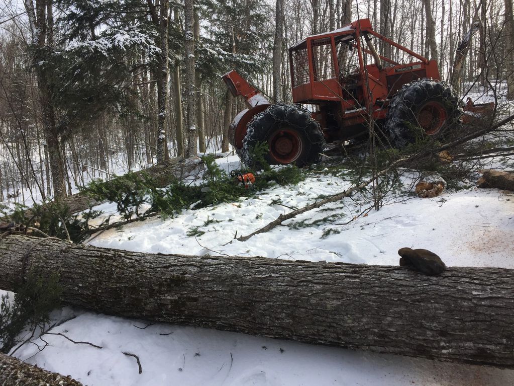 Skidder used for lot clearing