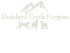 Stoddard Puppies