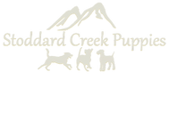 Stoddard Creek Puppies