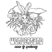 The Wonder Land Project