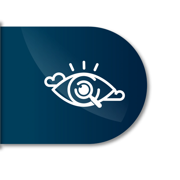 Visión de GYR Consultores