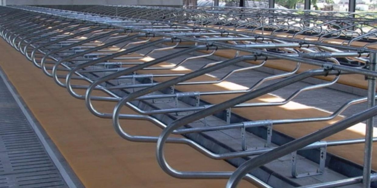 Dairy farmers have been relying on Pasture Mat™ to support healthier, more comfortable cows for deca
