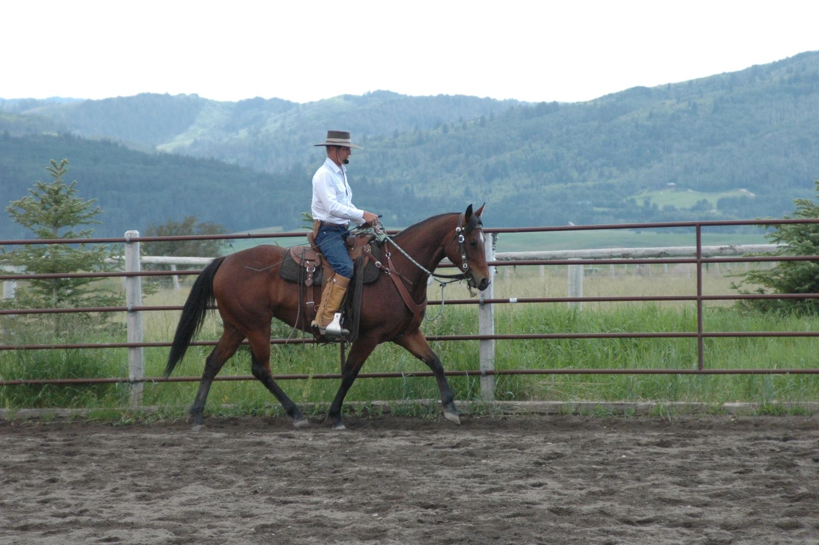 The Aids of Riding