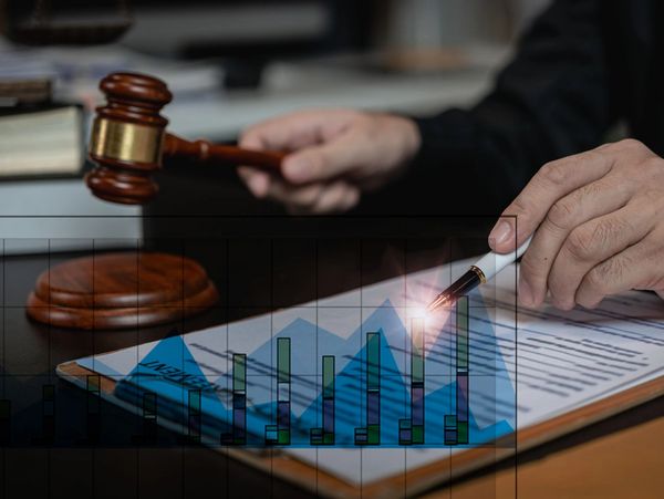 Law, finance, and litigation analysis
