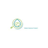 waterdamagedetective.com