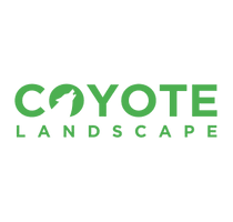 Coyote Landscape