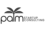 Palm Startup Consulting