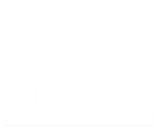 UDS Demo